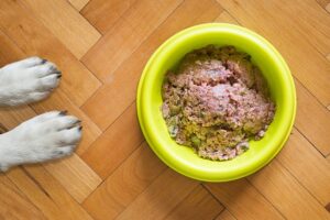 best dog food in india