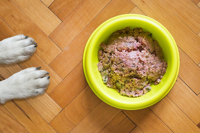 Top 10 best dog food in india( Review & buying guide) हिंदी मैं - CAREDOGS