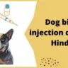 Dog bite injection dose in Hindi