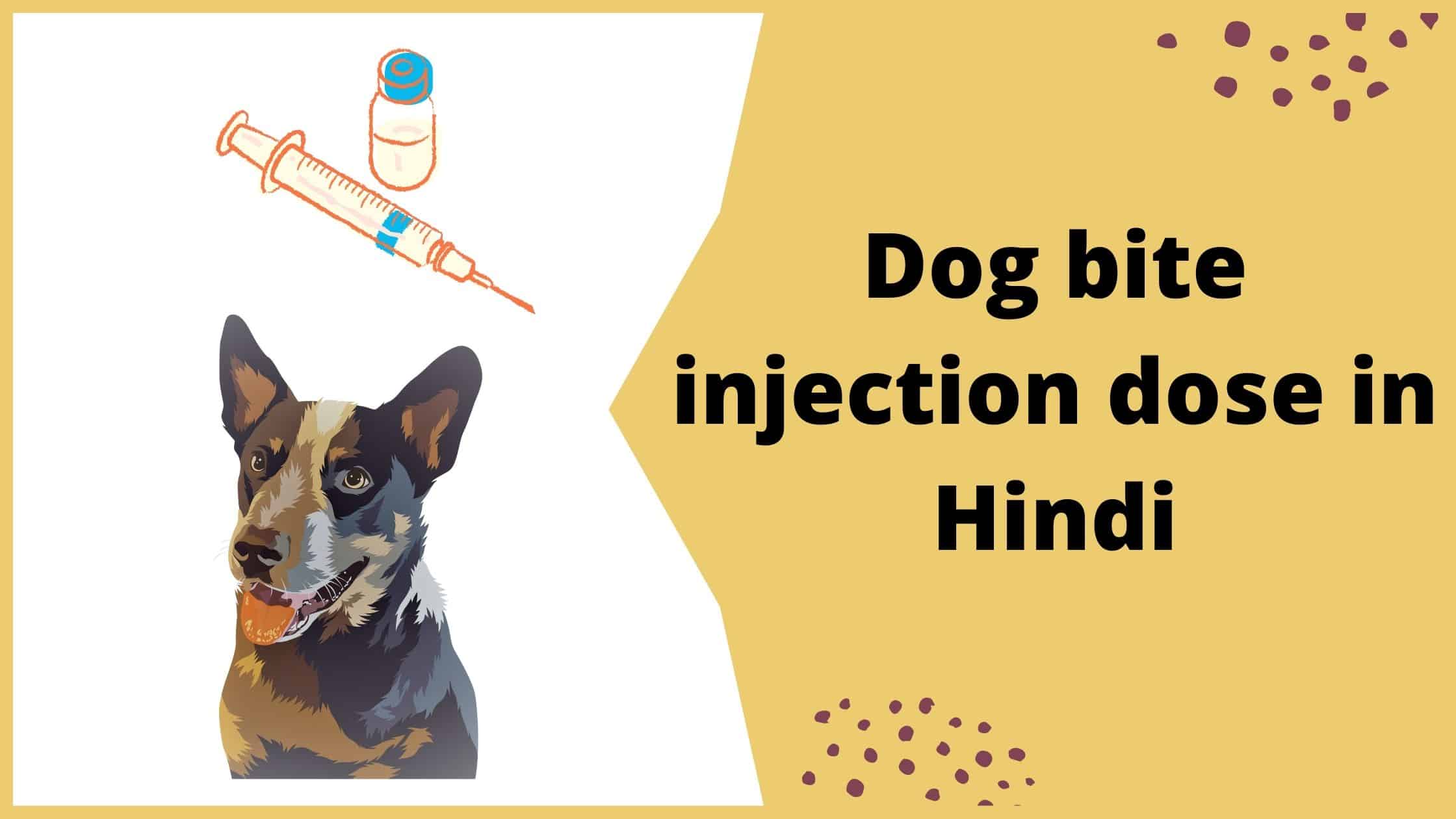 Dog bite injection dose in Hindi