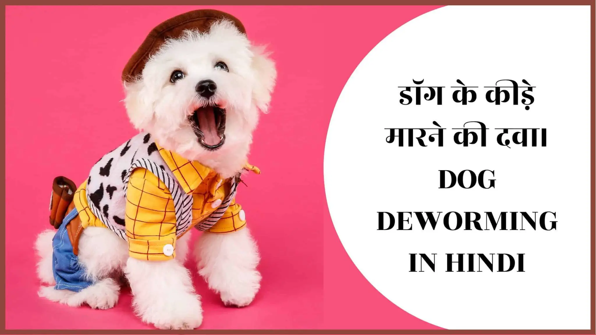 Dog Deworming In Hindi CAREDOGS