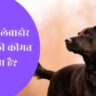 Black Labrador dog price in india hindi