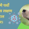 Parvovirus in dogs treatment in Hindi