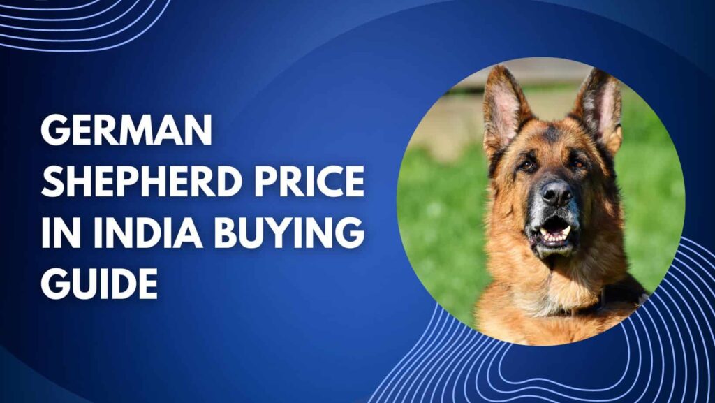 german shepherd price in india