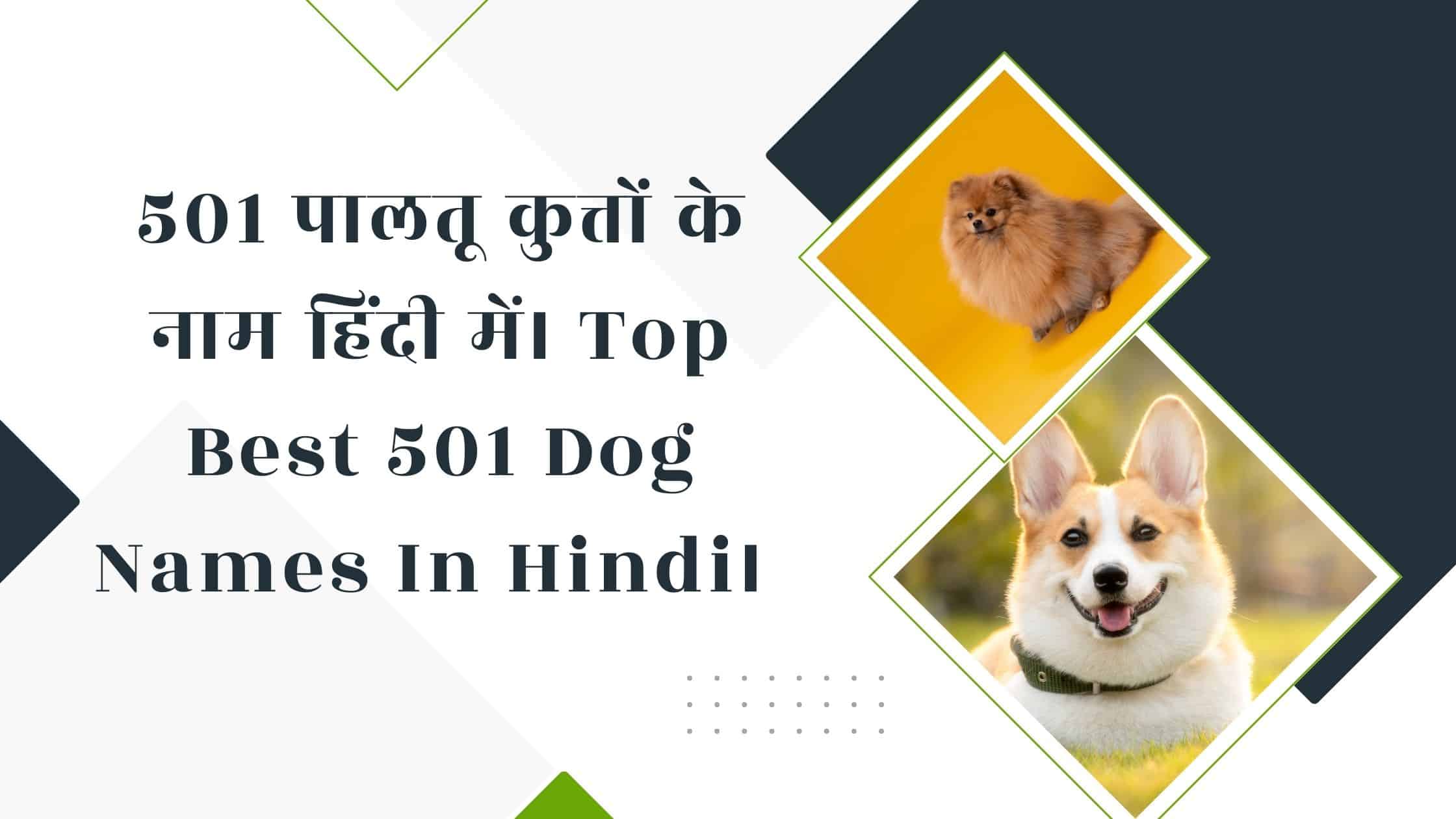 dog names in hindi